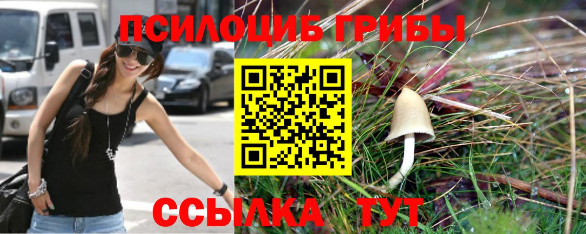 Галлюциногенные грибы ЛСД  наркотики  Тверь  Вход с VPN 
